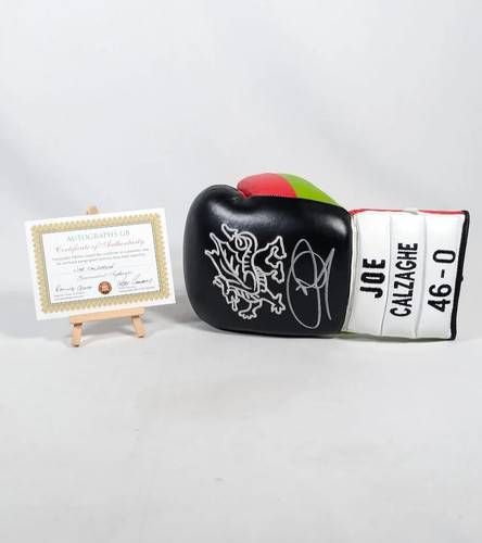 Guantone boxe joe - joe, calzaghe