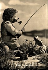 RANE - Frogs - Grenouilles - MECKI - VG - #040