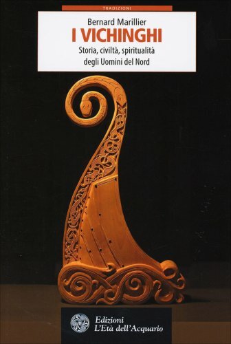 Libro vichinghi storia - libro,