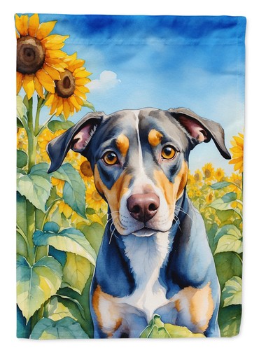 Catahoula cane leopardo con