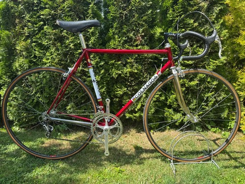 Colnago nuovo messico - colnago,