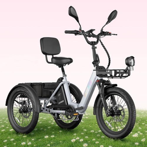 Triciclo elettrico fafrees f20 - triciclo,