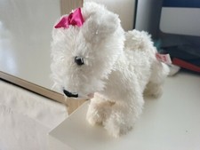 TRUDI dog chien perro  CANE