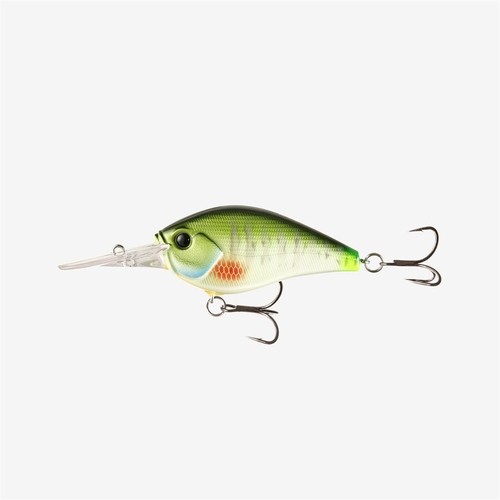 Fishing cliff banger - 13,