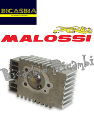14555 - TESTA MALOSSI DM 43