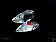 Ali D'Angelo Con Cuore In