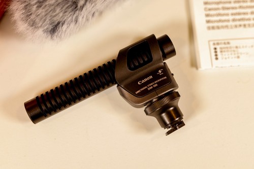 Microfono stereo direzionale
