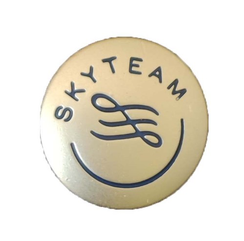 Spilla skyteam alliance - skyteam,