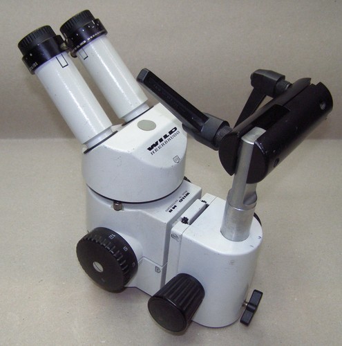 Stereomicroscopio zoom wild - stereomicroscopio,