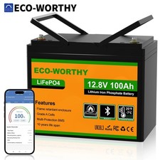 ECO-WORTHY 12V 100AH LiFePO4