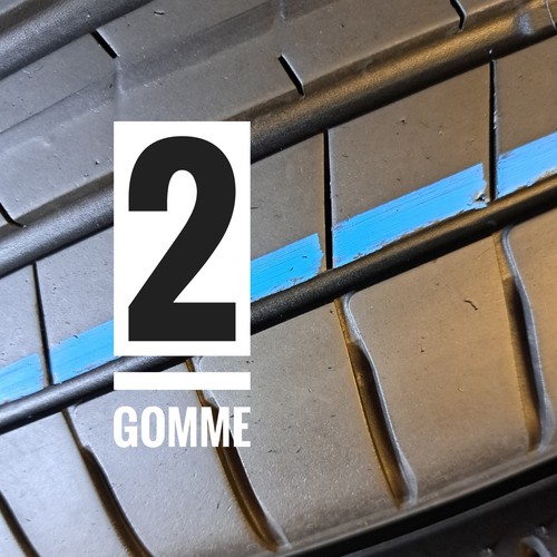 215 r17 94v coppia gomme - r17,