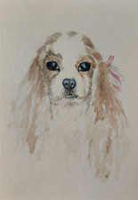 DIPINTO Disegno Acquerello su