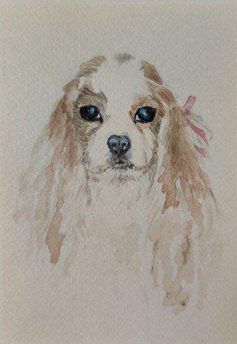 Dipinto disegno acquerello - dipinto, su