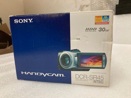 Sony handycam dcr sr45 - sony, argento