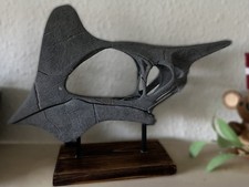 Grande Teschio Tapejara