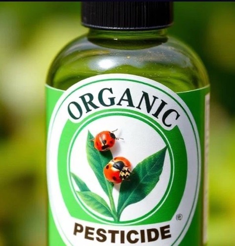 Coccinelle pesticidi - x,