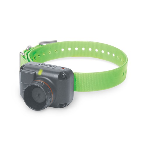 Dogtra 2700 verde collare - t&b,