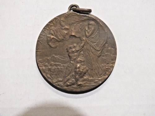 Pp310 medaglia armata - pp310-medaglia,
