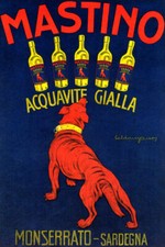 MASTINO ACQUAVITE GIALLA RED