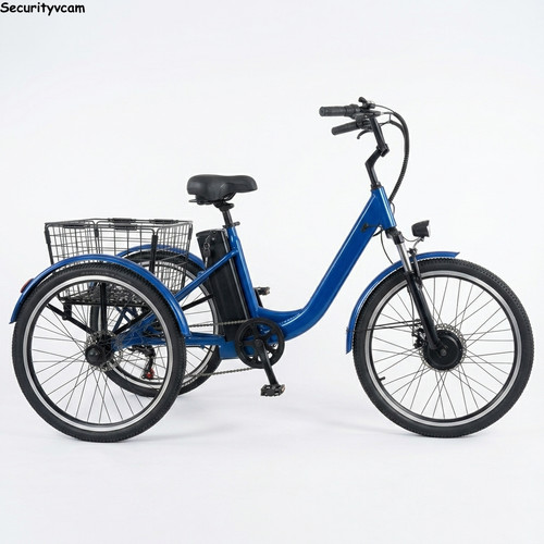 Triciclo elettrico 24 - triciclo,