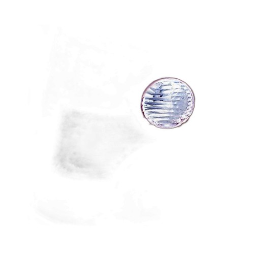 Fanale posteriore sinistro - posteriore, sx