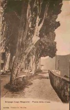 1914: Svizzera BRISSAGO Lago