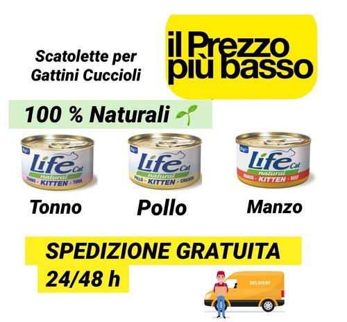 Scatolette cibo umido - , gatto