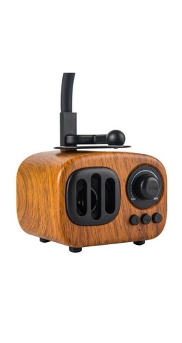 Gramophone small speaker
