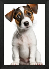Jack Russell Terrier 01 poster