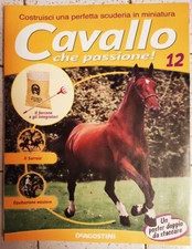 Cavallo Che Passione Fascicoli