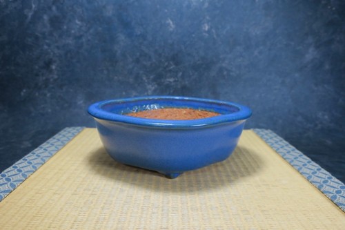 Vaso bonsai giapponese