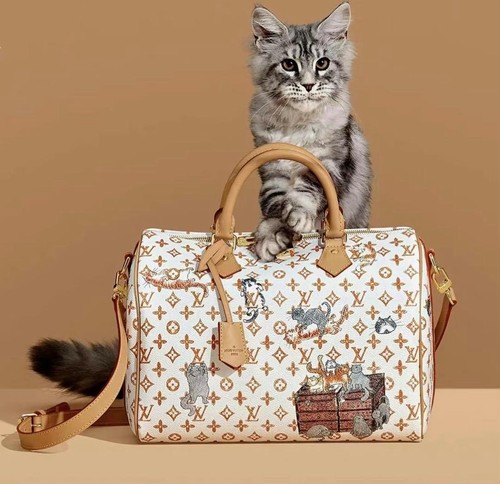 Louis vuitton speedy - louis,