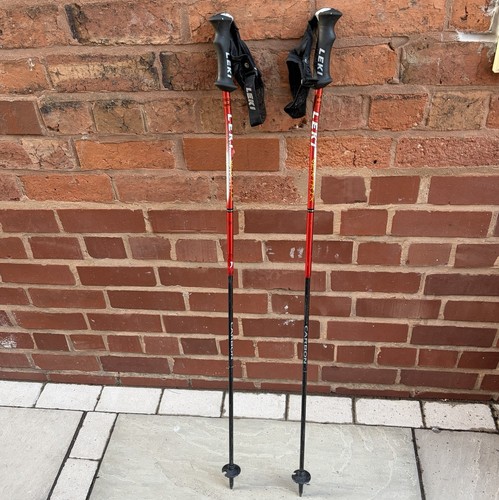 Bastoncini sci nordic - 2,