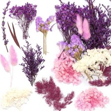 fiori secchi naturali fiori