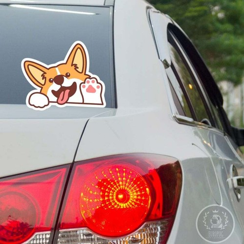 Adesivo auto peeking welsh - adesivo,