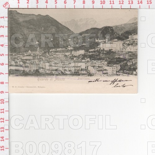 B9817 massa carrara - b9817,