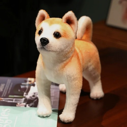 Peluche cane akita piedi 10 - peluche,