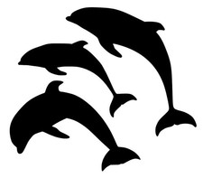 Sealife Delfini Mylar Stencil