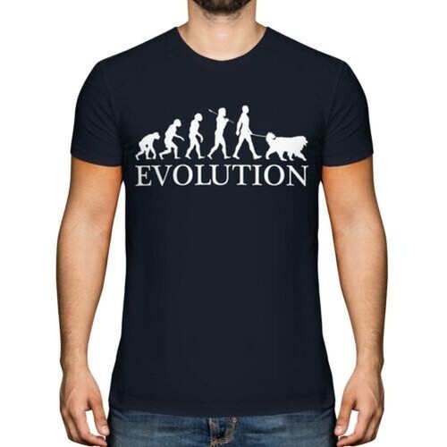 Cane bovaro bernese evolution - cane,