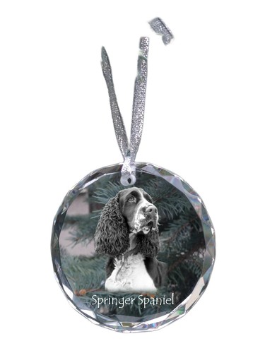 Springer spaniel inglese - springer,