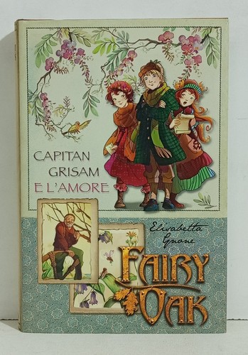 45267 gnone fairy oak - -,