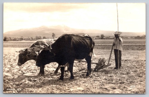 Rppc arando messico campi - messico, di