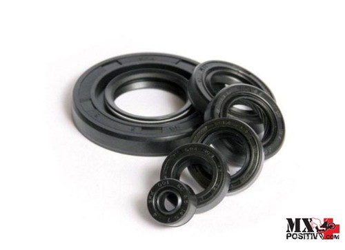 Kit paraoli motore polaris - kit,