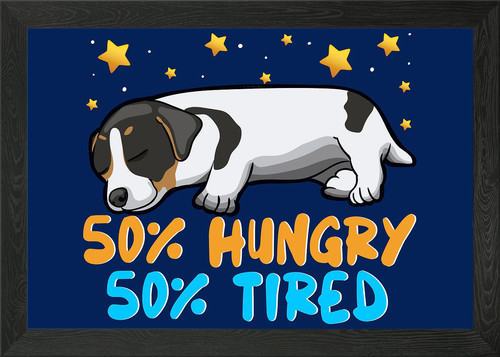 Poster jack russel terrier - poster,