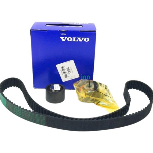 Kit cinghia distribuzione - cinghia,