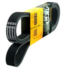 CONTITECH 6PK1715 Cinghia
