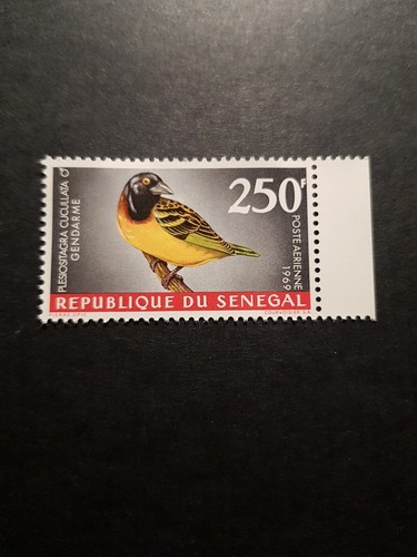 Timbro senegal uccelli fauna - timbro,