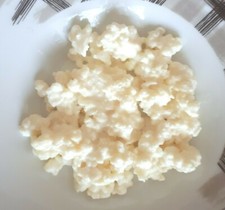 KEFIR DI LATTE BIO GRANI