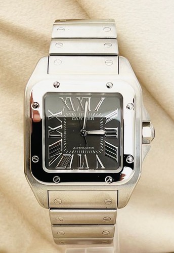 Cartier santos 100 - santos,