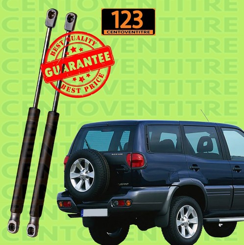 Coppia molle gas pistoncini - coppia,